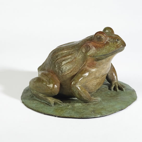 Bull frog, Pyxicephalus edulis