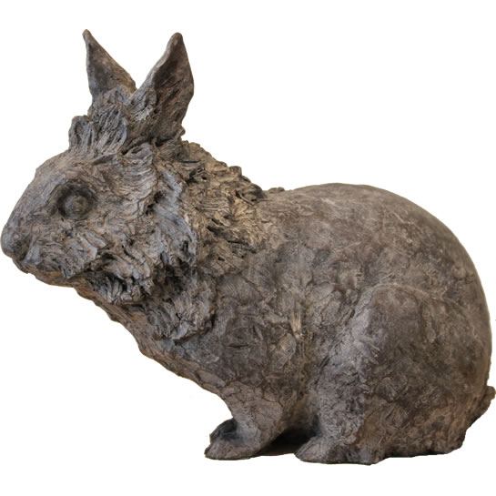 Thumper, lionhead rabbit