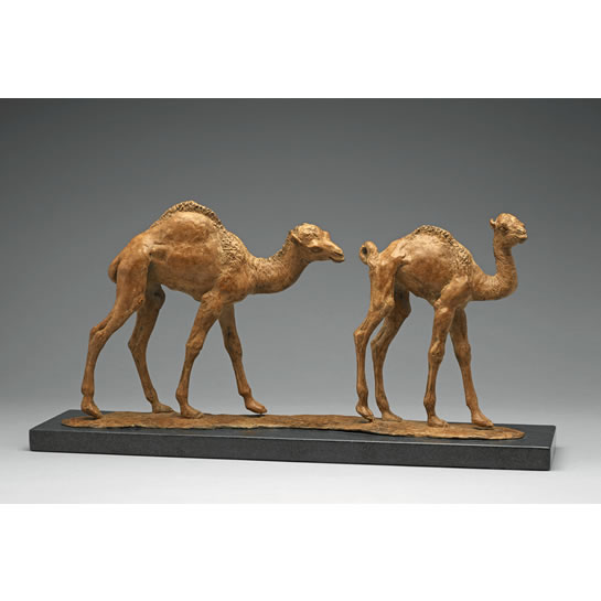 Baby camels - Orphaned Bibianna with friend