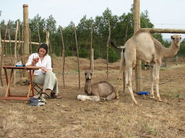 Sculpting camels in Kenya