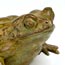 bronze sculpture COMMON EUROPEAN TOAD