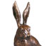 bronze hare
